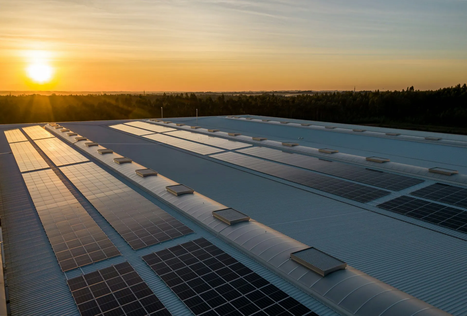 Rows of rooftop solar panels glowing in warm sunset light