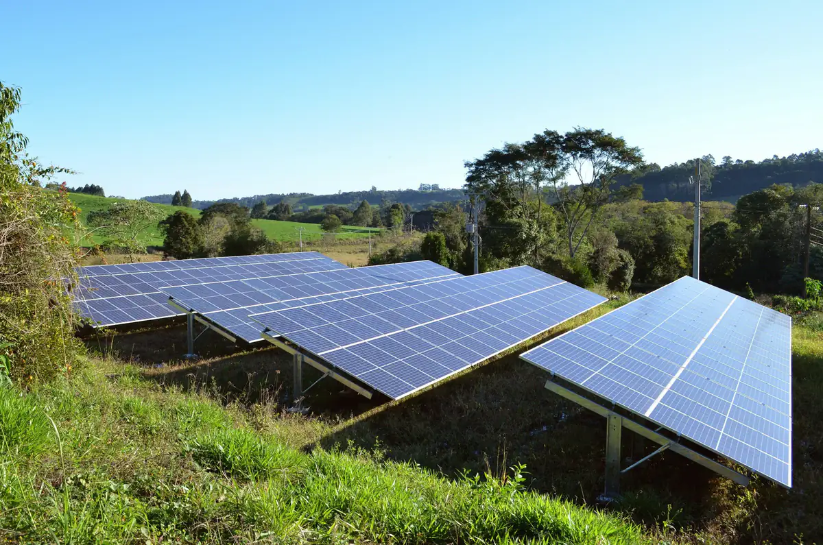 Rows of ground-mounted solar panels in a grassy field